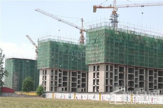 蓝郡绿都实景图