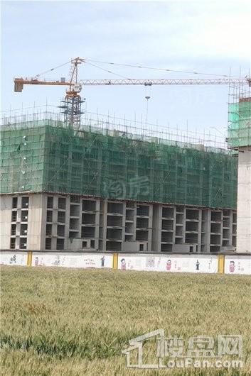 蓝郡绿都实景图