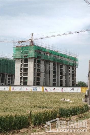 蓝郡绿都实景图