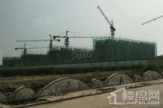 蓝郡绿都实景图