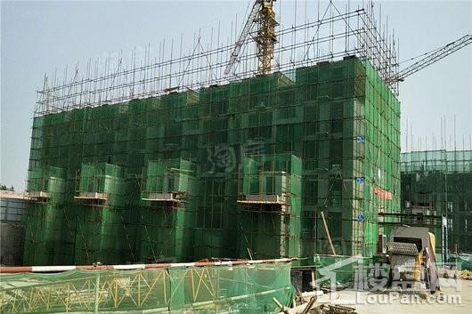 蓝郡绿都实景图