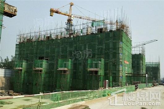 蓝郡绿都实景图