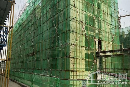 蓝郡绿都实景图