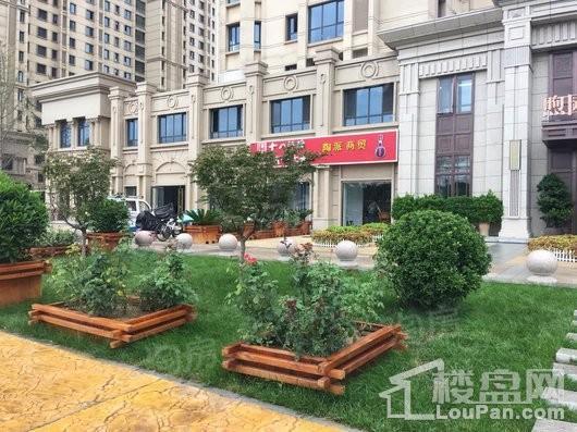 润江煦园实景图