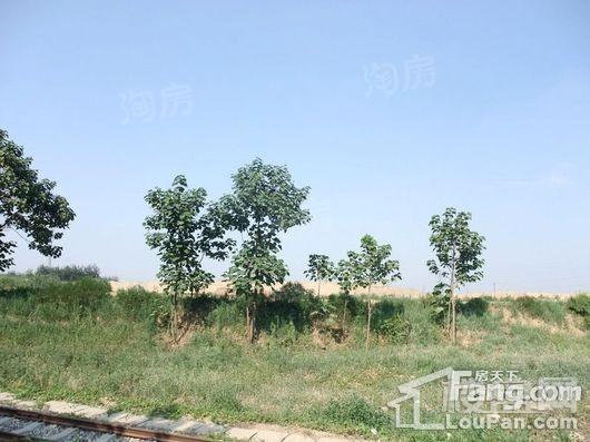 高远旭东城配套图