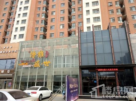天海·博雅盛世实景图