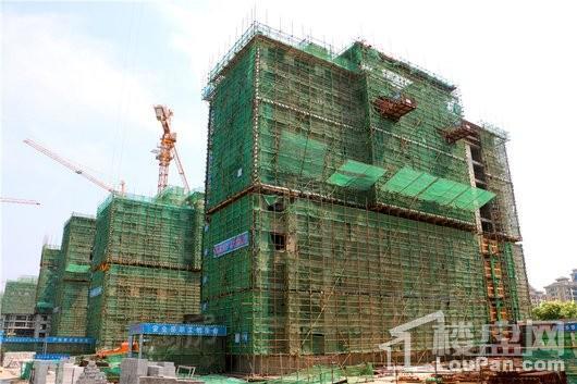 金科博翠园实景图