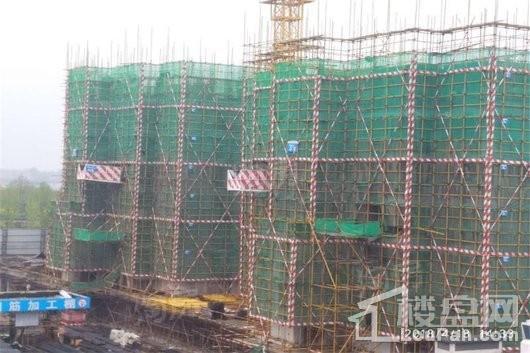 金科博翠园实景图