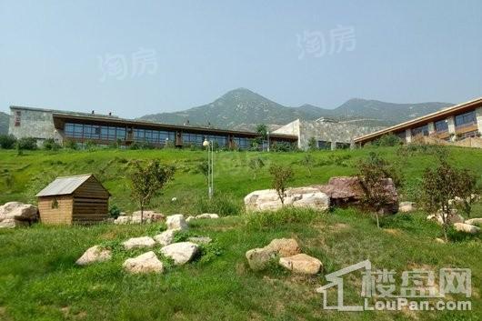 龙湖·天宸原著配套图