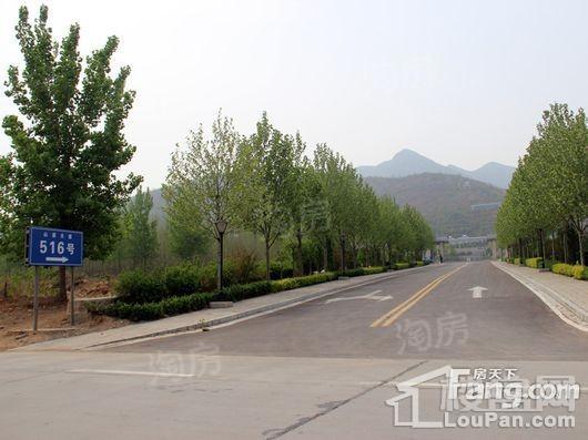 龙湖·天宸原著配套图