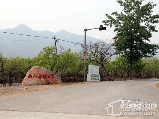 龙湖·天宸原著配套图