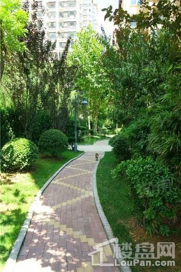 北城国际实景图