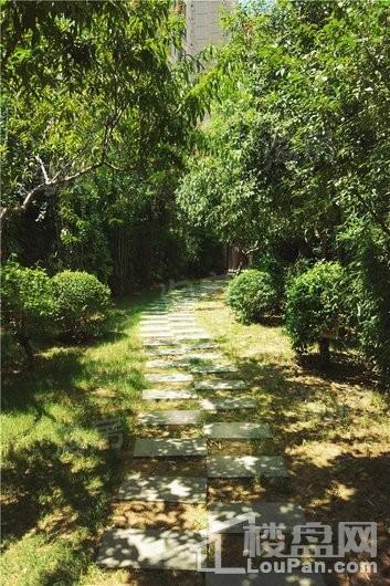 北城国际实景图