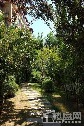 北城国际实景图