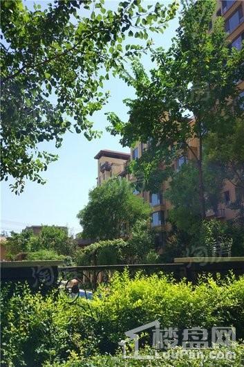 北城国际实景图