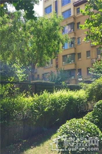 北城国际实景图