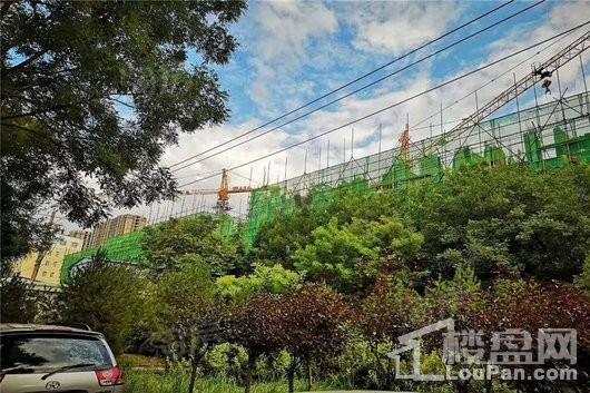 和平阳光苑实景图
