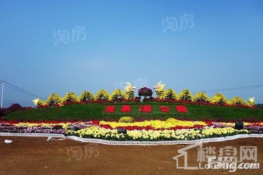 西山御园配套图