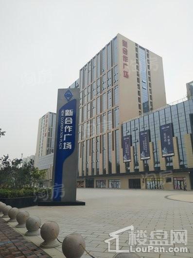实景图