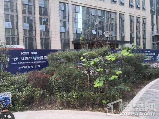 新合作城市广场·领誉实景图