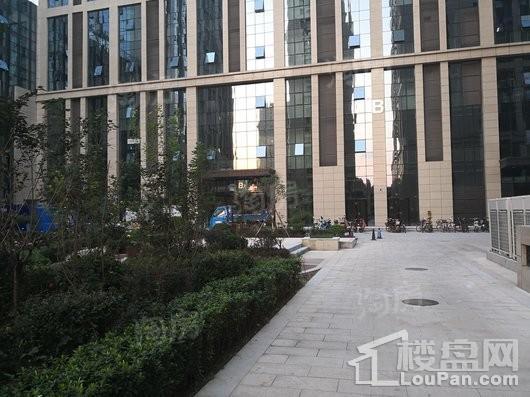 新合作城市广场·领誉实景图