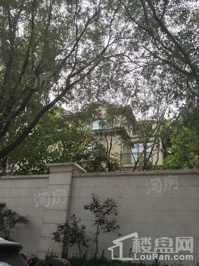 原河名墅实景图