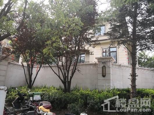 原河名墅实景图