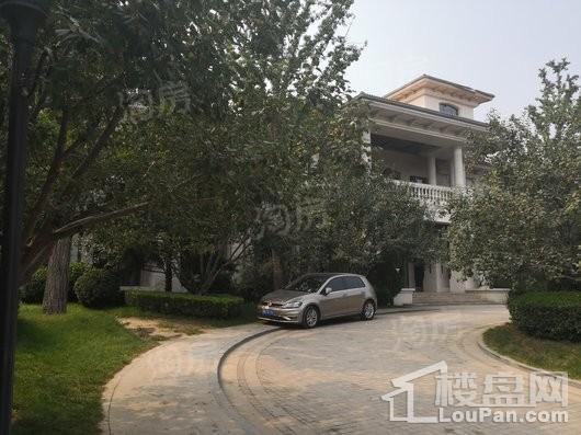 原河名墅实景图