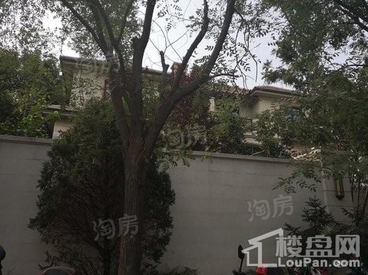 原河名墅实景图