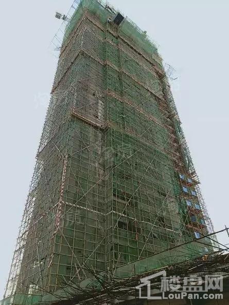 实景图