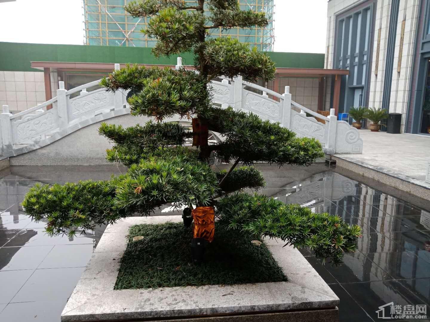 三金广陵铭著实景图