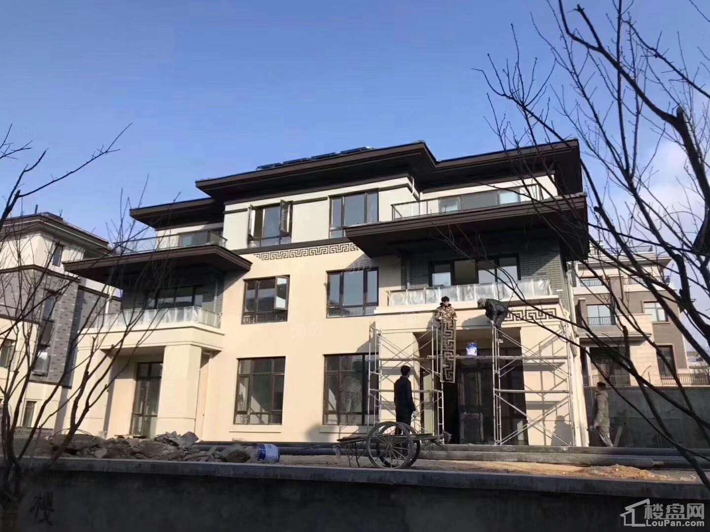 金科桃花源实景图