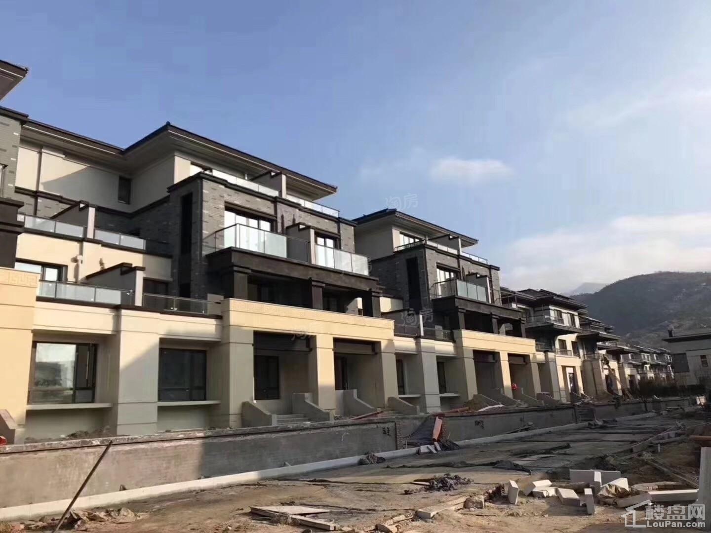 金科桃花源实景图