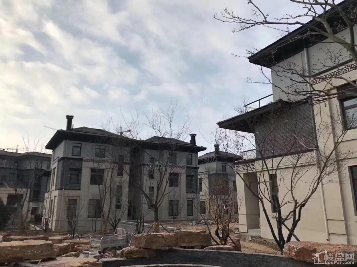 金科桃花源实景图