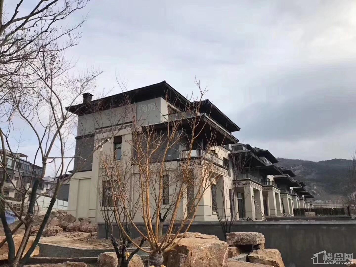 金科桃花源实景图