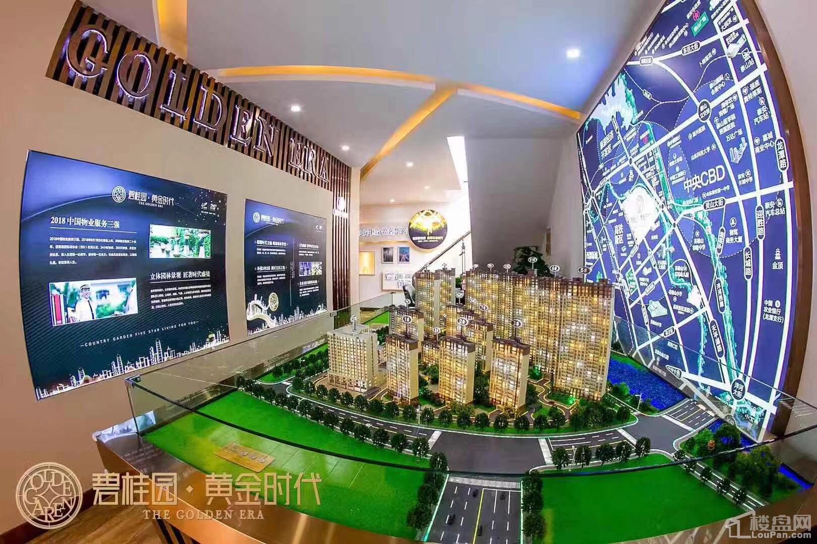 泰安碧桂园黄金时代实景图
