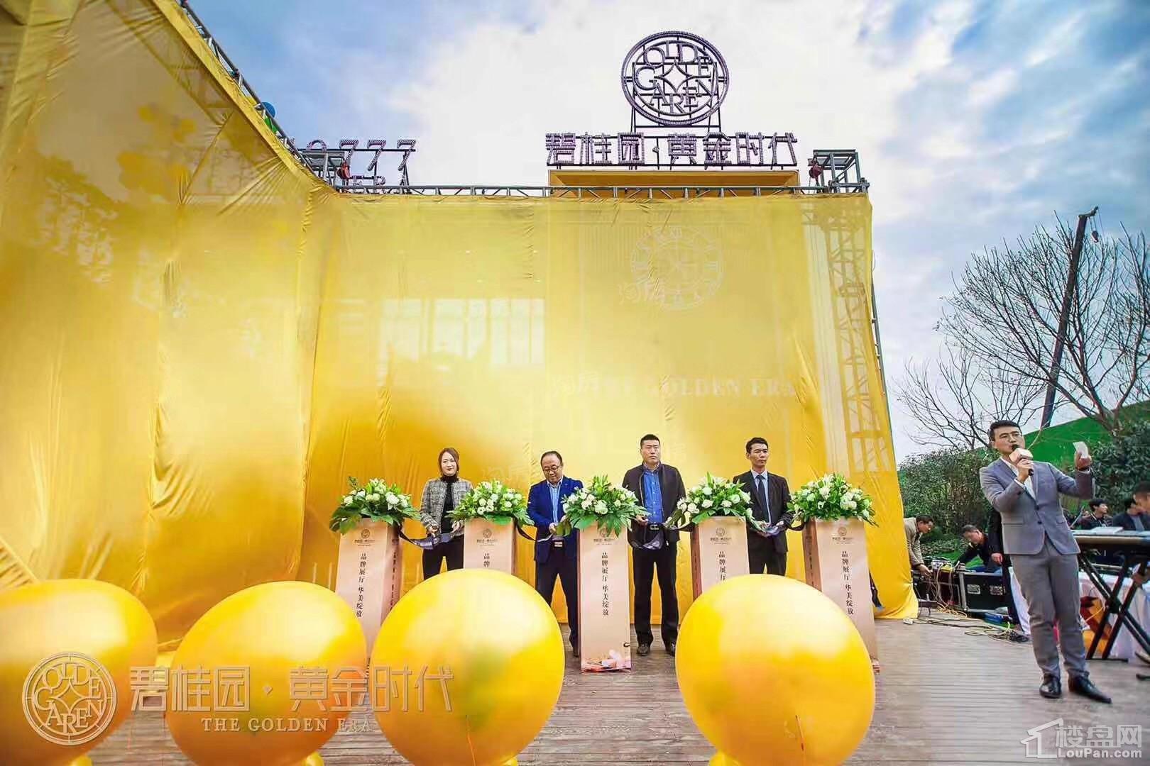 泰安碧桂园黄金时代实景图