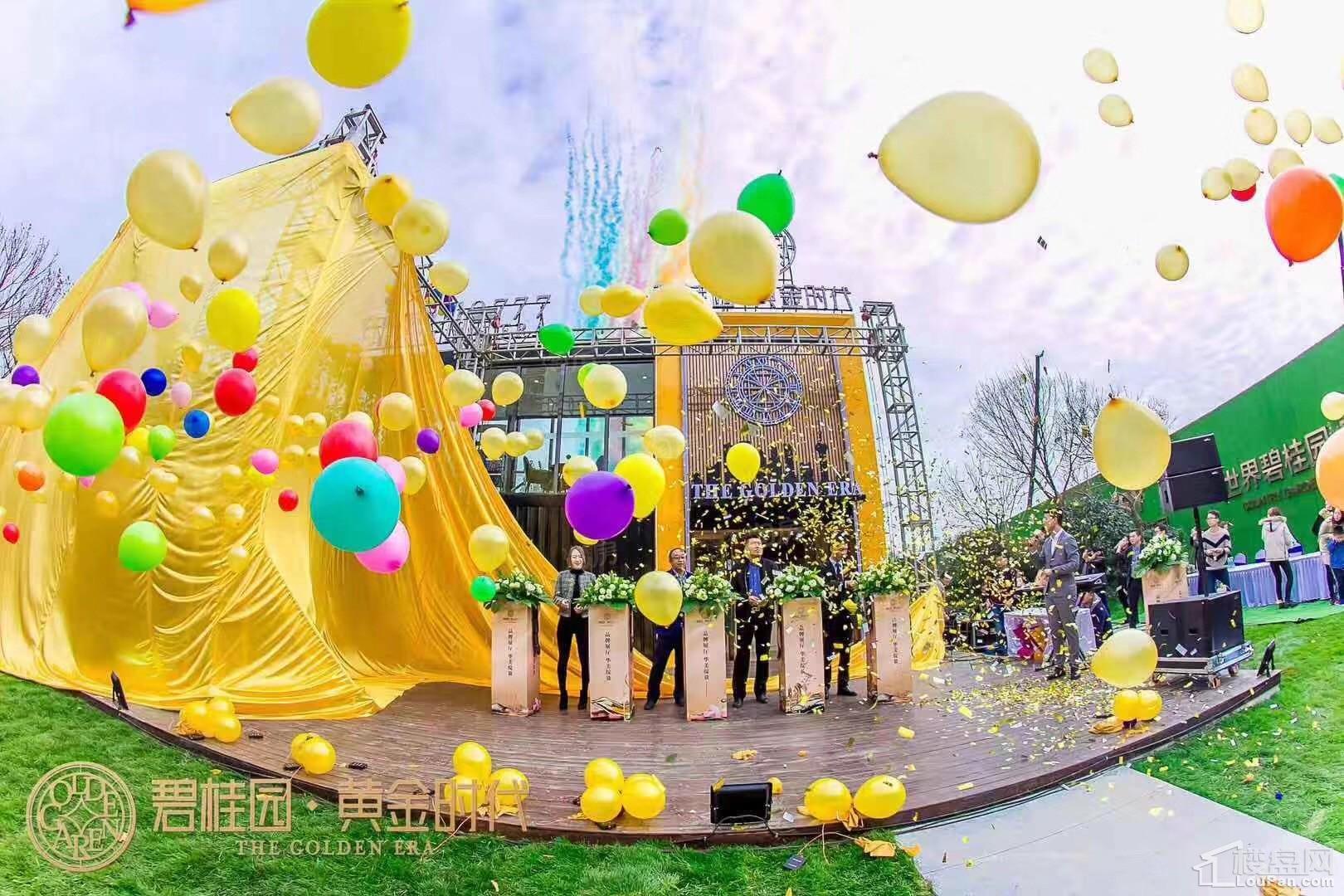泰安碧桂园黄金时代实景图