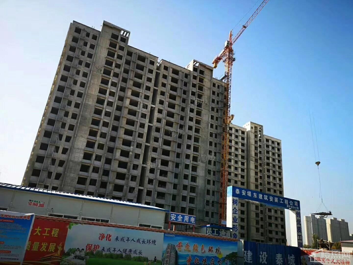 盛世景苑实景图