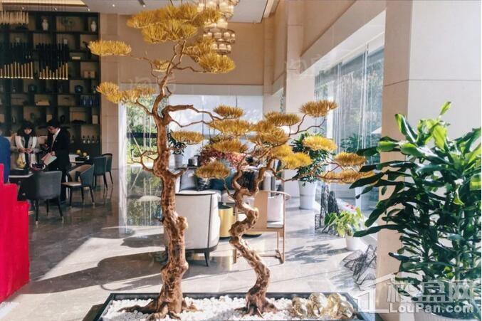 金辉弘阳棠院实景图