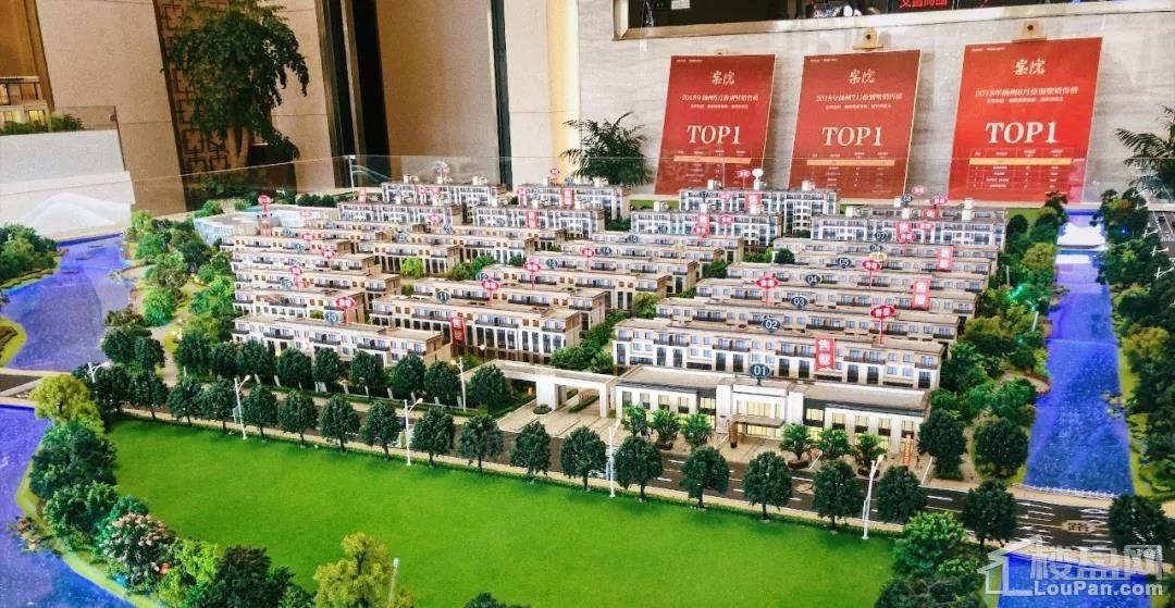 金辉弘阳棠院实景图