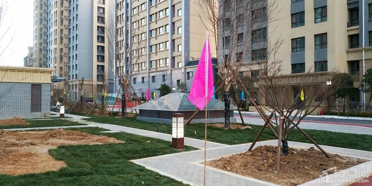 实景图
