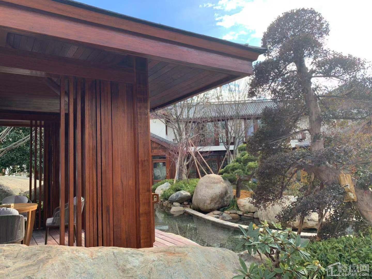 束河秘境国际康养度假区实景图