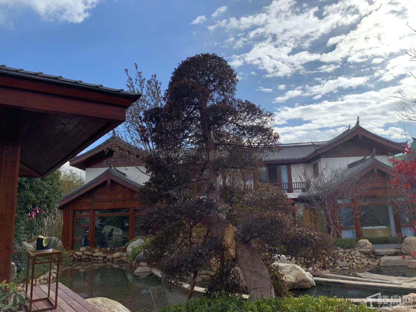 束河秘境国际康养度假区实景图