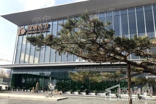 绿地·东南亚中心实景图