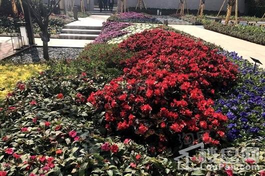 绿地·东南亚中心实景图