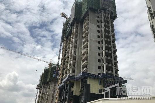 假日城市Ⅱ芳华实景图