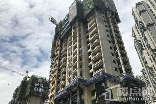 假日城市Ⅱ芳华实景图