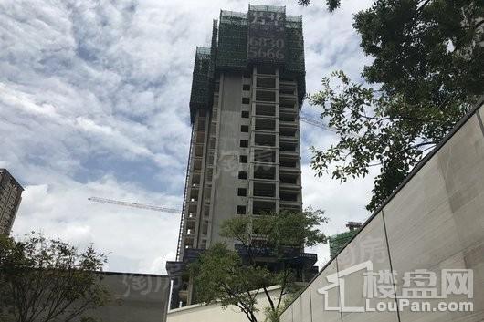 假日城市Ⅱ芳华实景图