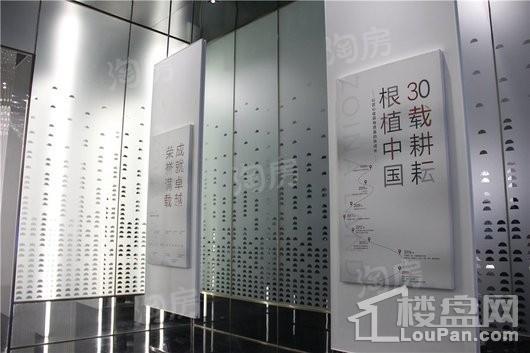中南·云境实景图